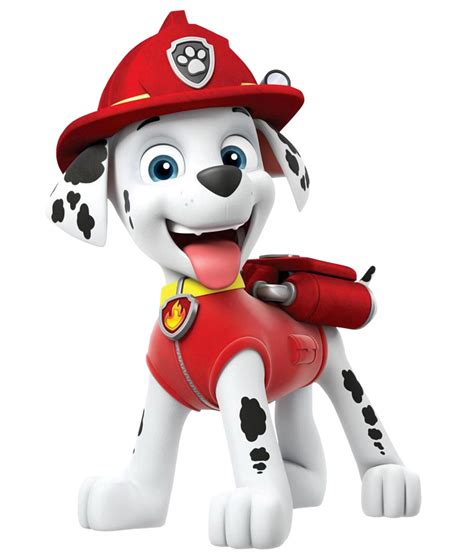 Paw Patrol The Moviegallery Paw Patrol Wiki Fandom