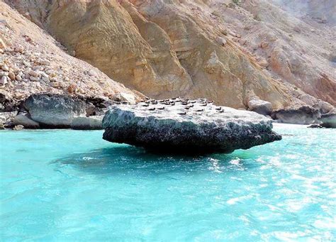 Socotra El Lugar Más Extraño De La Tierra Según La Unesco Cultura