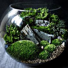 Id Es De Terrariums Mini Jardins Deco Plantes Jardin Int Rieur