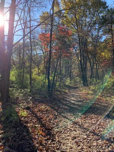 Best Hikes and Trails in Dr. Edmund A. Babler Memorial State Park ...