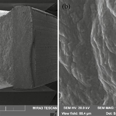 Sem Micrograph Of The Specimen Fracture Surface After Charpy Impact