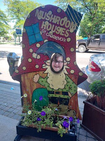 MUSHROOM HOUSE TOURS (Charlevoix) - What to Know BEFORE You Go