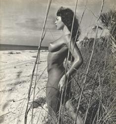 Shirley Levitt Nude Celebrities Forum FamousBoard