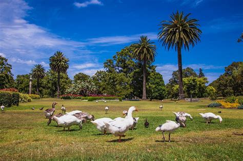 10 Best Parks In Sydney Explore Sydneys Most Beautiful Outdoor Spaces Go Guides