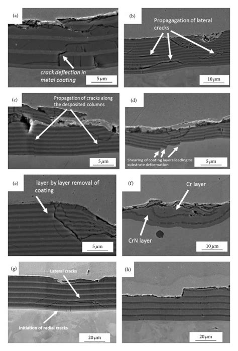 Sem Images Of Cross Sections Of Eroded Cr Crn Coatings A Cr Crn