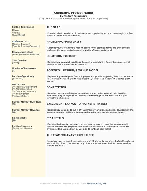 One Page Project Summary Template | PDF Template