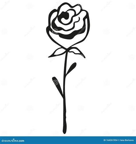 Rose Flower In Black And White Colors Freehand Drawing Stock Vector