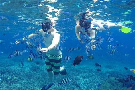 From Lembongan: Snorkeling Day Trip To Nusa Lembongan & Nusa Penida ...