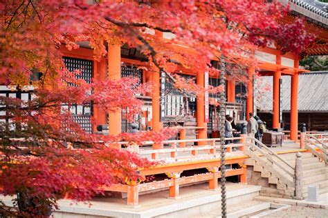 Discovering The Historic Beauty Of Kyoto S Temples And Shrines