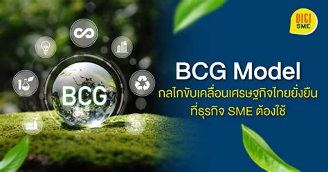 Bcg Model กลไกขับเคลื่อนเศรษฐกิจไทยที่ธุรกิจ Sme ต้องใช้