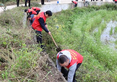 来宾市总工会组织党员干部到乡村振兴联系点开展冬春农田水利建设和植树造林活动澎湃号·政务澎湃新闻 The Paper