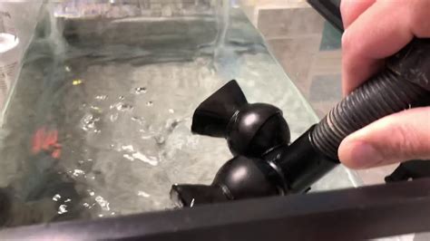 Fluval 305 with FX5 output on 10 gallon - YouTube