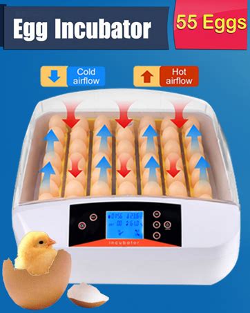 Amazon Aceshin Eggs Incubator Digital Poultry Hatcher Machine