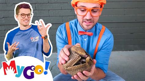 Blippi Visits A Zoo Phoenix Zoo Blippi Mygo Sign Language For