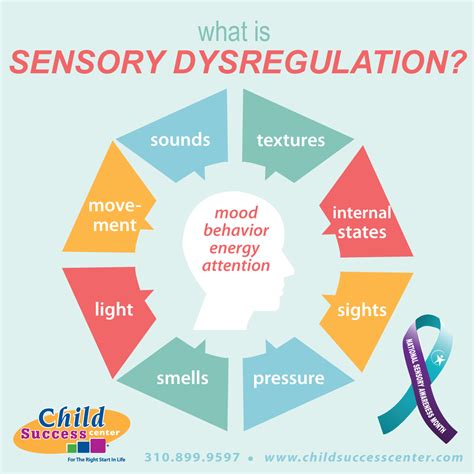 Sensory System