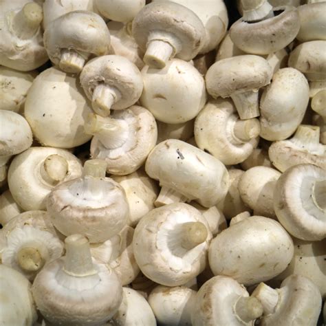 Button Mushroom 200g · Essington Farm