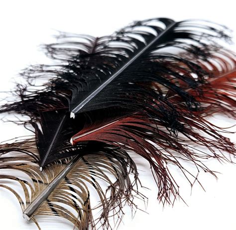 Fur Feathers And Hair — Chuck N Duck Fly Tying Materials