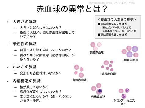 べてぱそ On Twitter 赤血球の異常には、ざっくり分けると ・大きさの異常 ・染色性の異常 ・かたちの異常 ・内部構造の異常 が