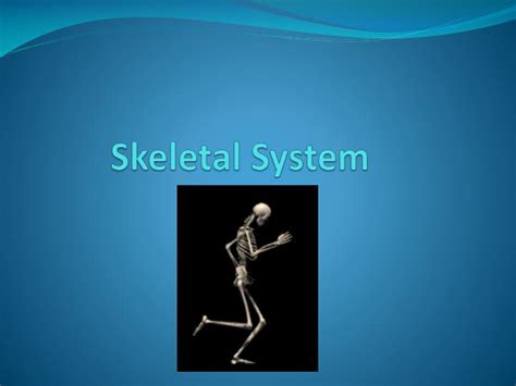 Ppt Skeletal System Powerpoint Presentation Free Download Id 1474300