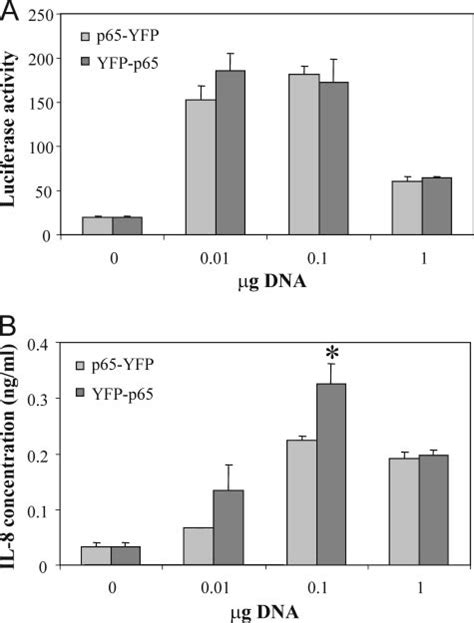 Transactivational Properties Of Yfp P65 A Luciferase Assay Performed