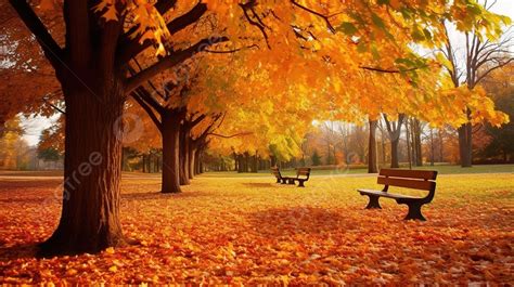 Autumn Background Full Hd Wallpaper Free Wallpaper Download For