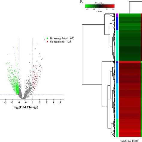 Volcano Plot And Heatmap Analysis Of Differentially Expressed Circrnas