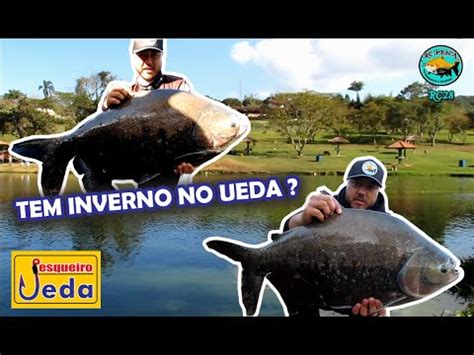 Saindo Peixe No Pesqueiro Ueda Em Pleno Inverno Youtube