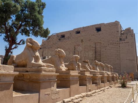 Complejo Del Templo De Karnak Egypt Foto De Archivo Imagen De Estatua