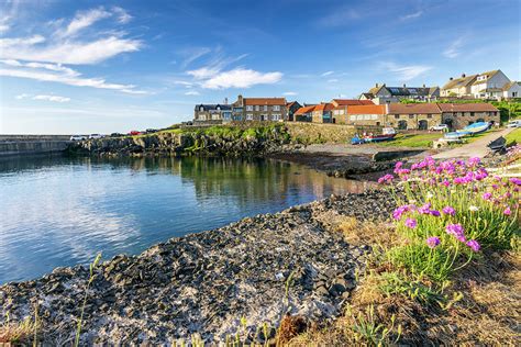 Craster Harbour, Northumberland Photograph by Jim Monk - Fine Art America