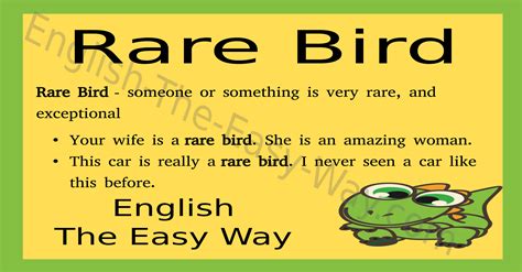 Rare Bird English Idioms English The Easy Way