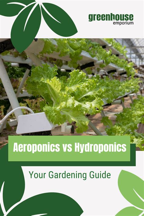 Aeroponics Vs Hydroponics - Which Is The Better Method?