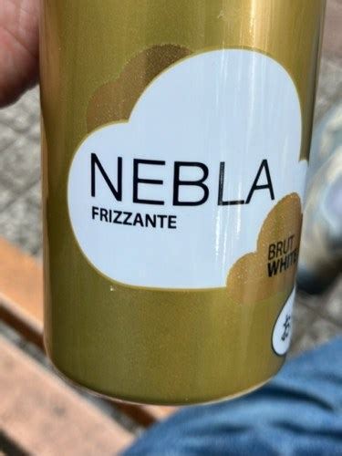 Nebla Frizzante Brut Vivino US