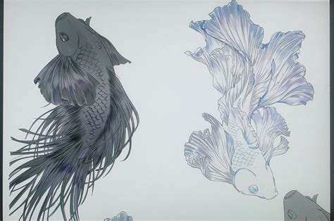 Pin By Acal On タトゥー Animal Art Fish Drawings Beta Fish Drawing