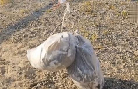 Video North Korea Sends Balloons Of Waste And Excrement Across The