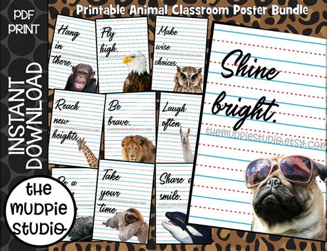 Animal Posters Classroom Decor Animal Classroom Printable - Etsy