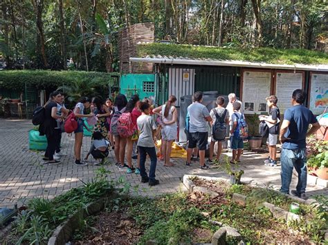 Alunos de escola estadual aprendem práticas sustentáveis em trilha no