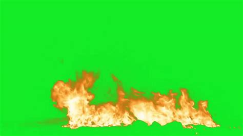 Fogo Fire Fundo Verde Chroma Key Youtube