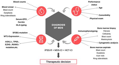 Ijerph Free Full Text Guidelines For Myelodysplastic Syndromes