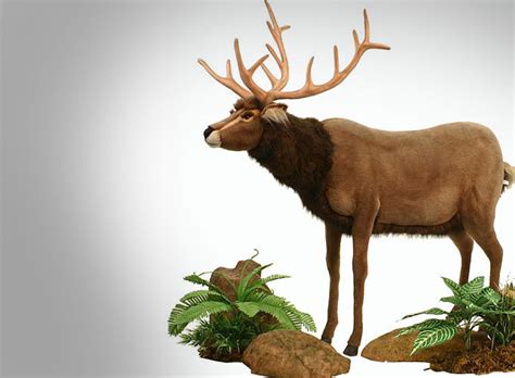 Lifesize Animated Talking Reindeer