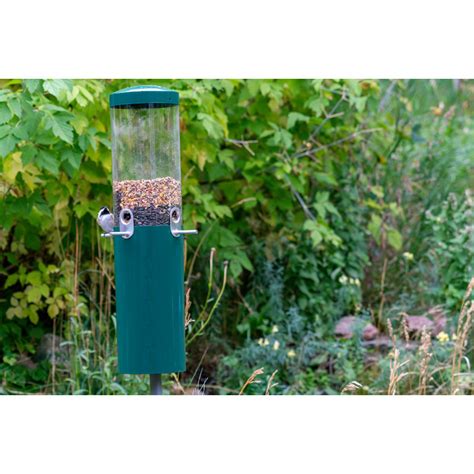 Birds Choice Squirrel Proof Classic Bird Feeder With Pole And Squirrel