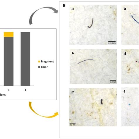 Microplastic Shape Percentage A And Microplastic Microscope Views B