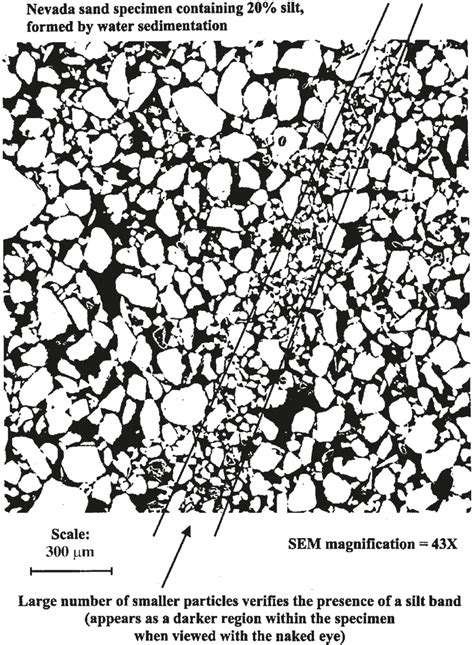 Scanning Electron Microscope Sem Image Demonstrating Silt Band