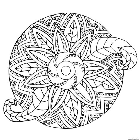 Coloriage Mandala Adulte Fleur Vegetal Jecolorie