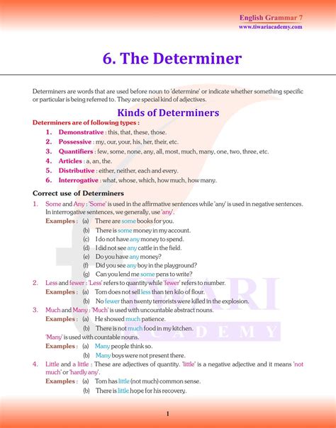 Class 7 English Grammar Chapter 6 The Determiner For Session 2024 25