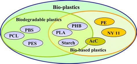 Ijms Free Full Text Biodegradability Of Plastics