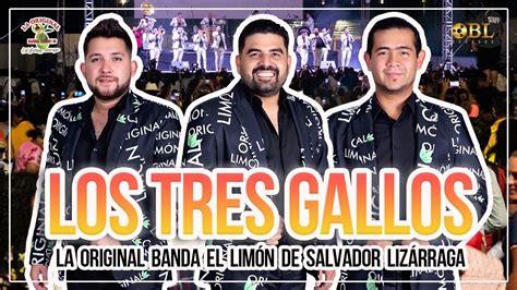 Los Tres Gallos La Original Banda El Lim N Youtube