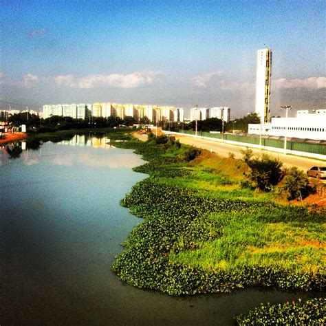 Barra Da Tijuca Rio De Janeiro River Outdoor Landscape Rio De