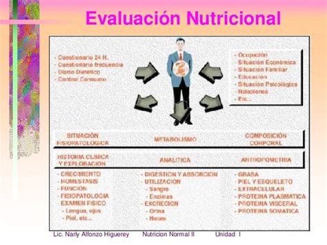 Pan Proceso De Atencion Nutricional