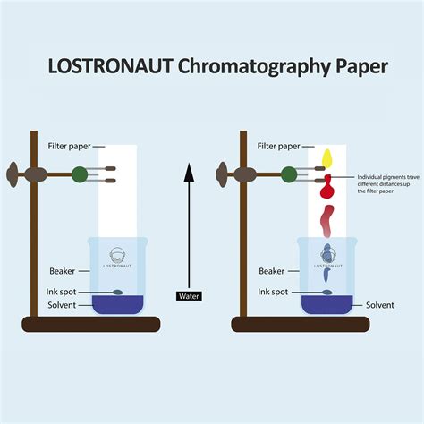 Chromatography Chemistry