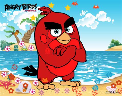 Dibujo De Red De Angry Birds Pintado Por En El Día 14 07 16